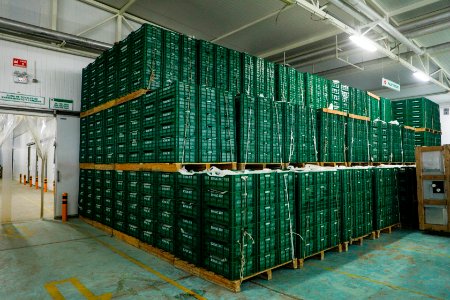 Ministro Pérez-Reyes sector acuícola se recuperará el 2018 y crecerá alrededor de 12% (43197211912)