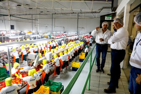 Ministro Pérez-Reyes sector acuícola se recuperará el 2018 y crecerá alrededor de 12% (41436648680)