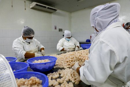 Ministro Pérez-Reyes sector acuícola se recuperará el 2018 y crecerá alrededor de 12% (43197178822)