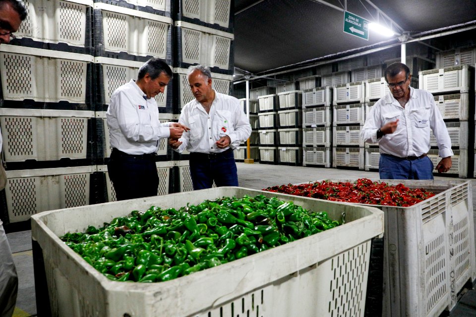 Ministro Pérez-Reyes sector acuícola se recuperará el 2018 y crecerá alrededor de 12% (42342231985)