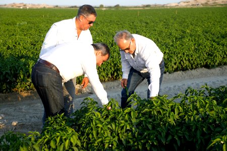 Ministro Pérez-Reyes sector acuícola se recuperará el 2018 y crecerá alrededor de 12% (43246110691)