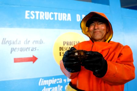 Ministro Pérez-Reyes sector acuícola se recuperará el 2018 y crecerá alrededor de 12% (43246043031)