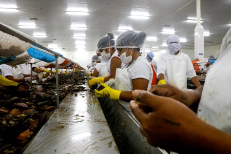 Ministro Pérez-Reyes sector acuícola se recuperará el 2018 y crecerá alrededor de 12% (42527830574)