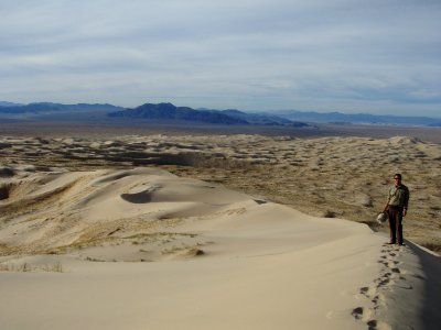 Mojave National Preserve (30024522875)