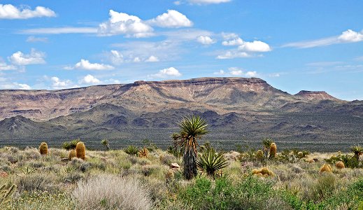 Mojave National Park (26857174345)