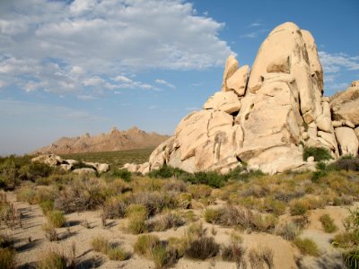Mojave National Preserve (29400003283)
