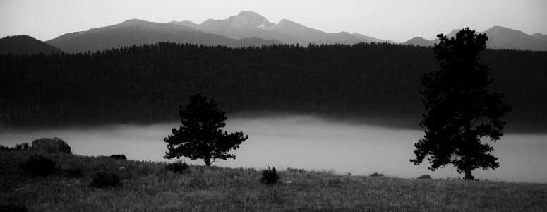 Moraine Park fog at dawn (44447883672) photo