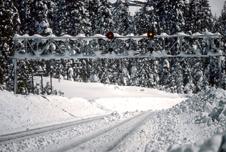 More in the Snow on Donner Pass, March 1980 -- 2 Photos (32304748263)
