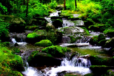 Mountain Brook (Explored 5-29-20) - Flickr - mrksteele04