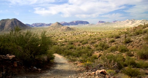 Mountain View from Path (39394055501)
