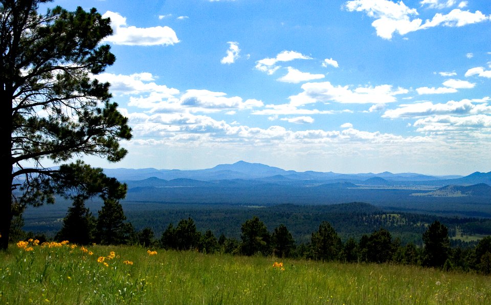 Mountain View from the Kachina Peaks Wilderness area Hiking Trail (38514491896)