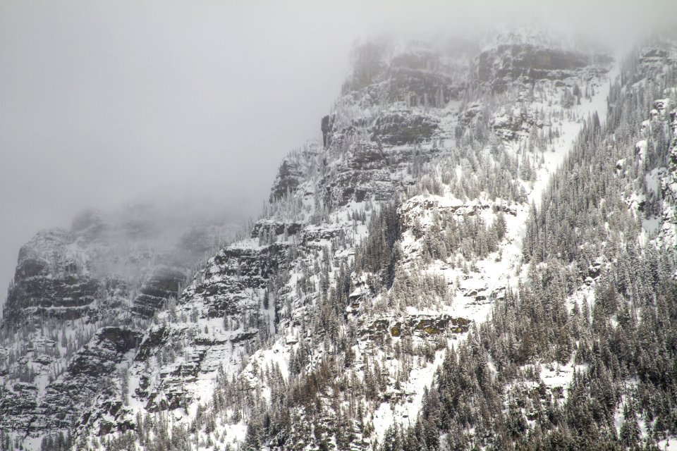 Mt. Brown (33229118155)