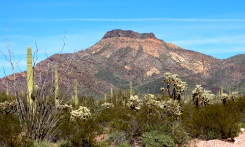 Mountain View from Ajo Mountain Drive (12597403925)