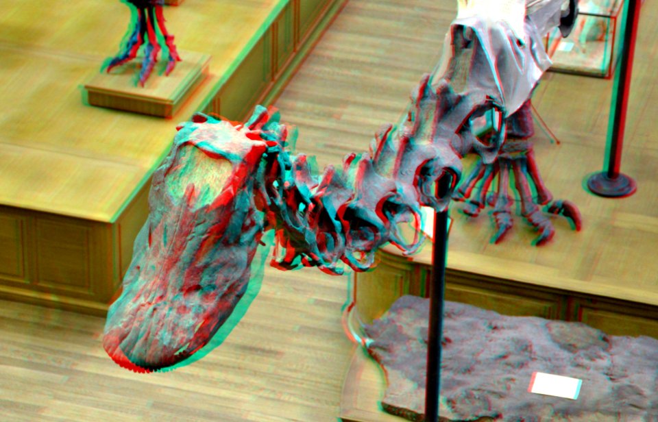 Museum National History Paris 3D (23819780808)
