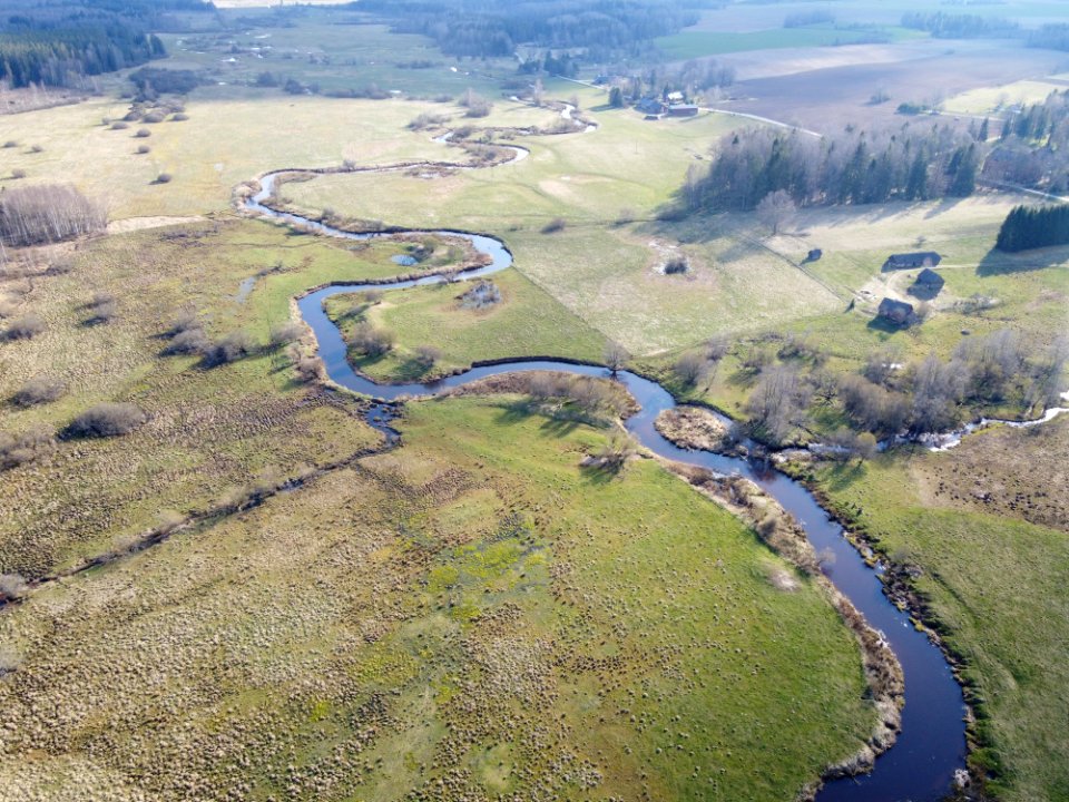 Mustjõgi (49817958407)
