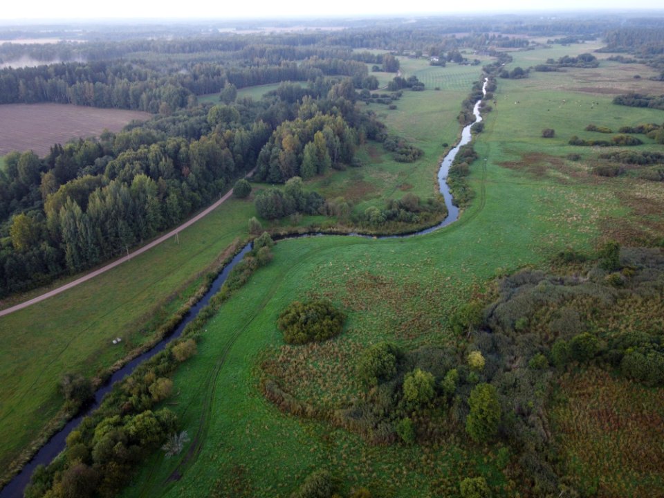 Mustjõgi (50302224861)