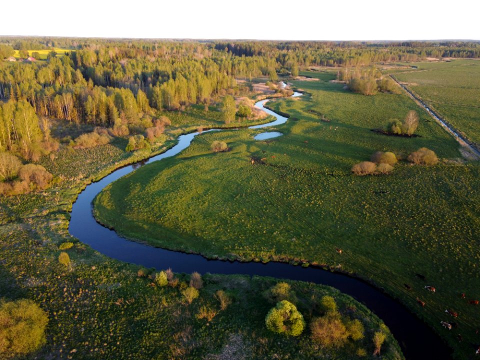 Mustjõgi (49943439128)