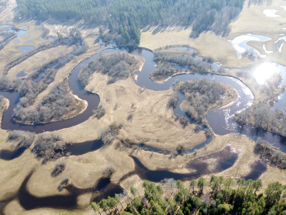 Mustjõgi (49708157463)