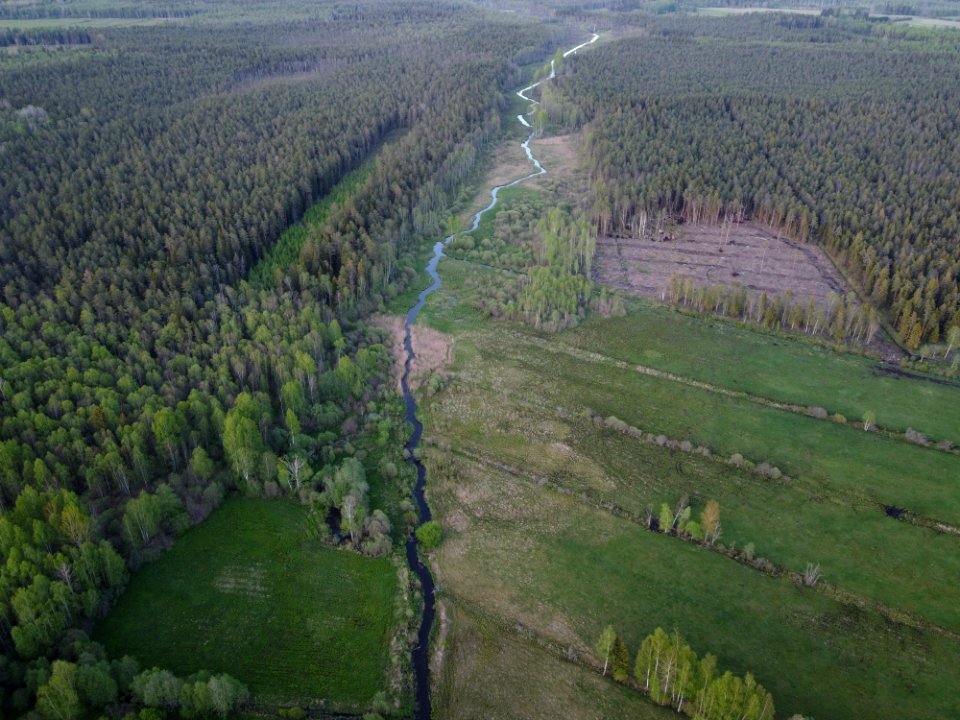 Mustjõgi (49944222797)
