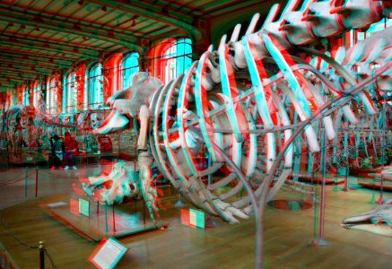 Museum National d'Histoire Naturelle Paris 3D (23475250548)