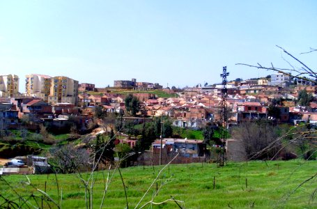 Médéa 36 (6147241863)