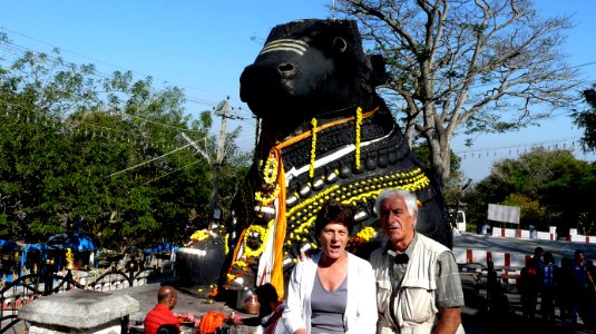 Nandi statue at Chamundeswari Temple (51057114471)