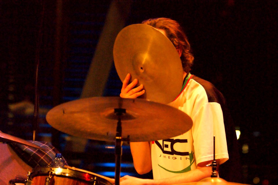 Narcissus 31-1-2014 BIM - Flin van Hemmen (29680030715)