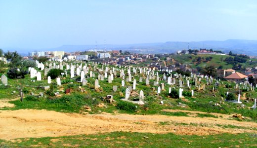 Médéa 37 (6147241865)