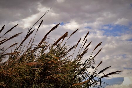 Clouds autumn nature