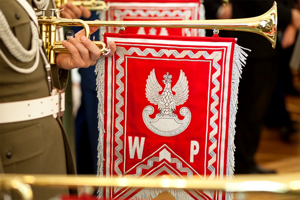 Narodowe Święto Niepodległości (26558840749)