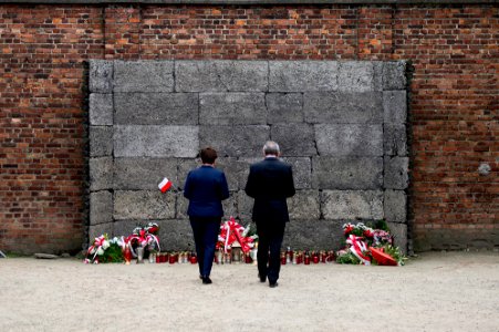 Narodowy Dzień Pamięci Ofiar Niemieckich Nazistowskich Obozów Koncentracyjnych i Obozów Zagłady (34459218074)