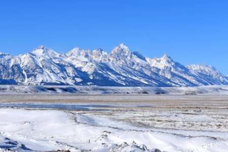 National Elk Refuge (49592474168)