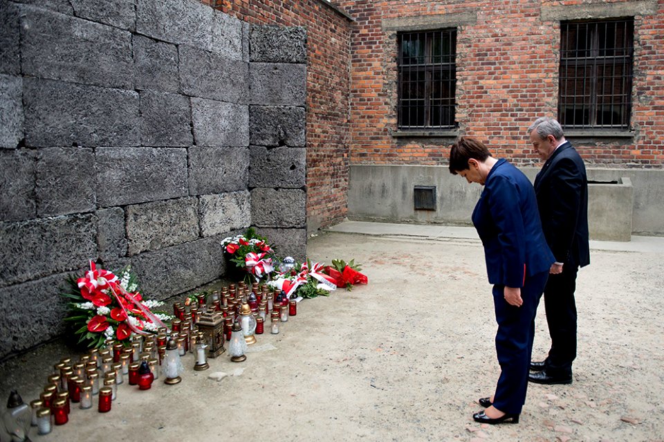 Narodowy Dzień Pamięci Ofiar Niemieckich Nazistowskich Obozów Koncentracyjnych i Obozów Zagłady (34459218144)