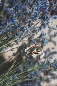 Rings flowers wedding rings