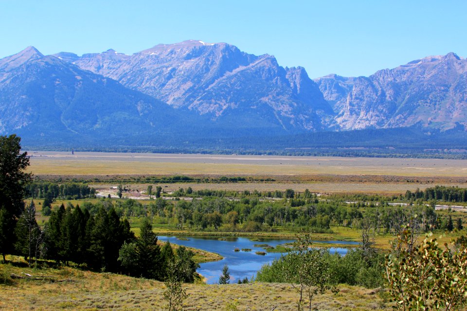 National Elk Refuge (48713399288)
