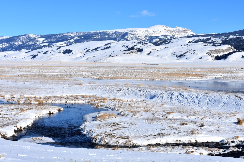 National Elk Refuge (49592978856)