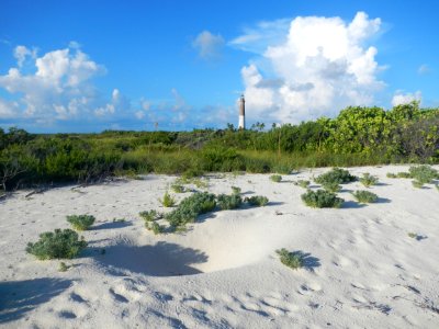 National Park Service (48754084258)