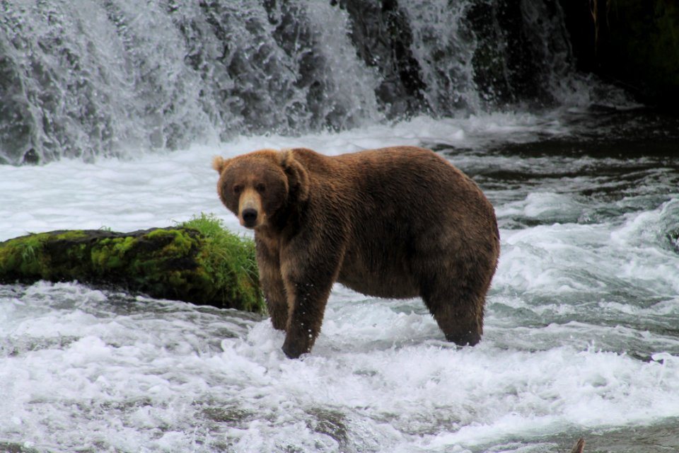 National Park Service (48754085873)