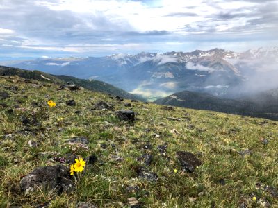 National Park Service (48754086008)