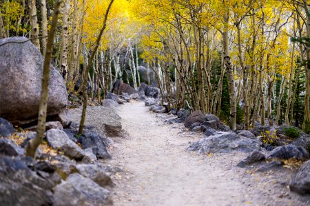 National Park Service (48754763232)