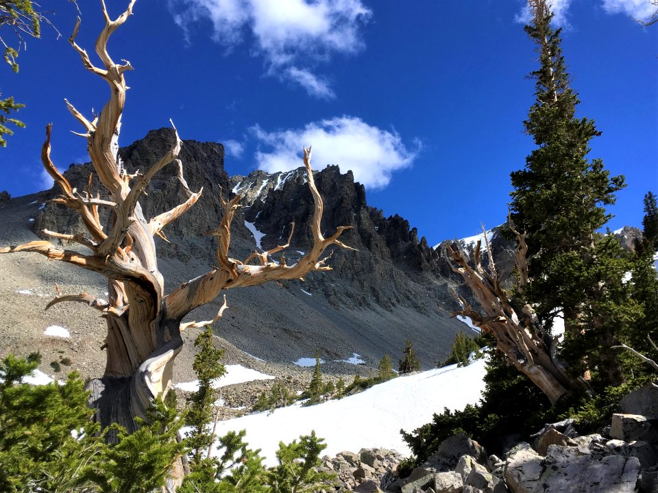 National Park Service (48754400391)