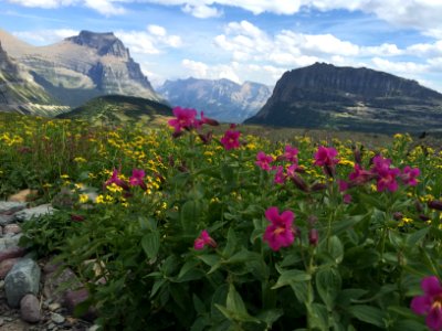 National Park Service (48754400746) photo