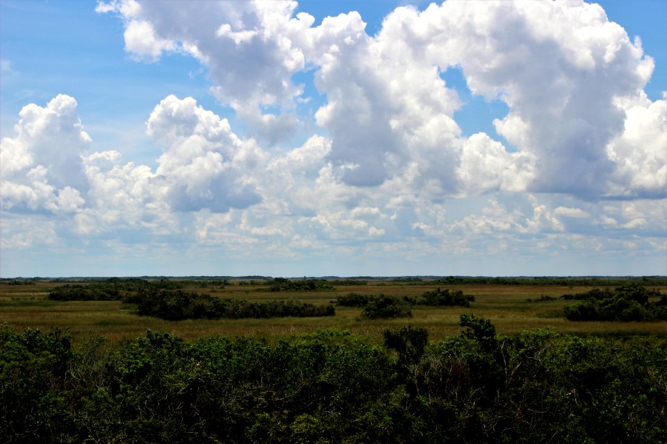 National Park(44384400061)
