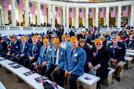 National Veterans Day Observance 2019 (49051150508)