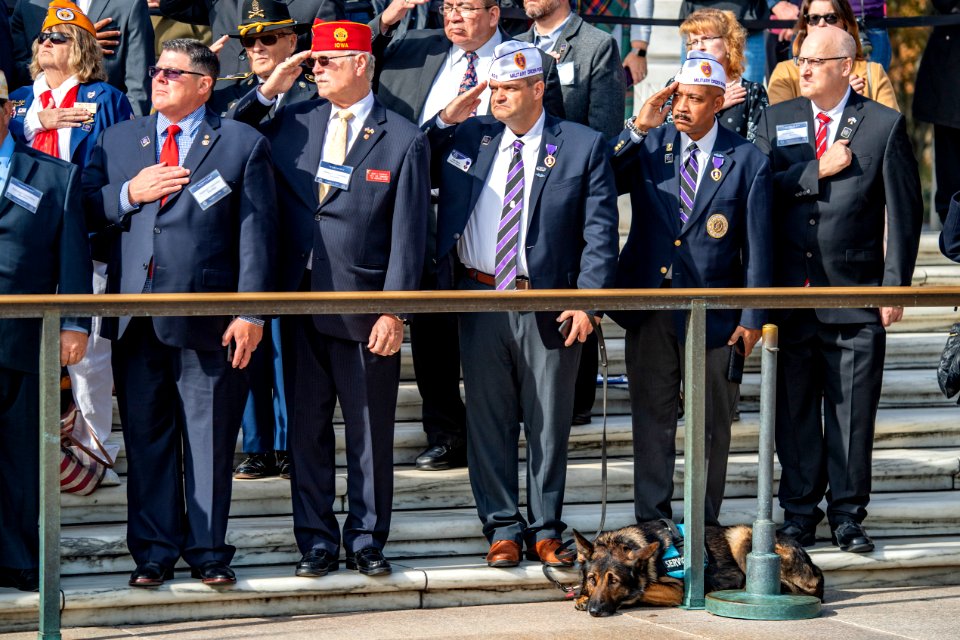 National Veterans Day Observance 2019 (49051865532)