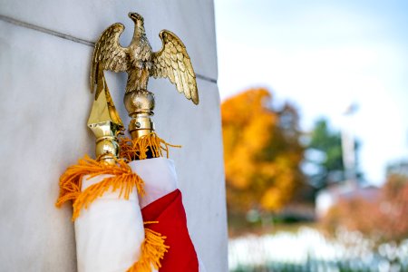 National Veterans Day Observance 2019 (49051867162)