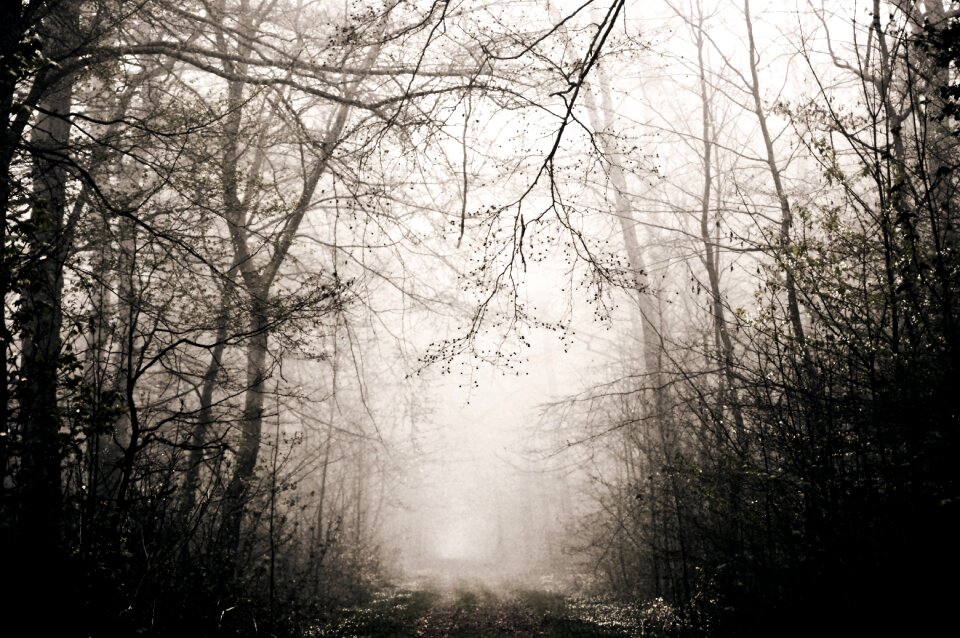 Emotions fear loneliness