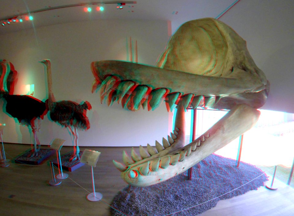 NHM Rotterdam 3D GoPro (26048342167)