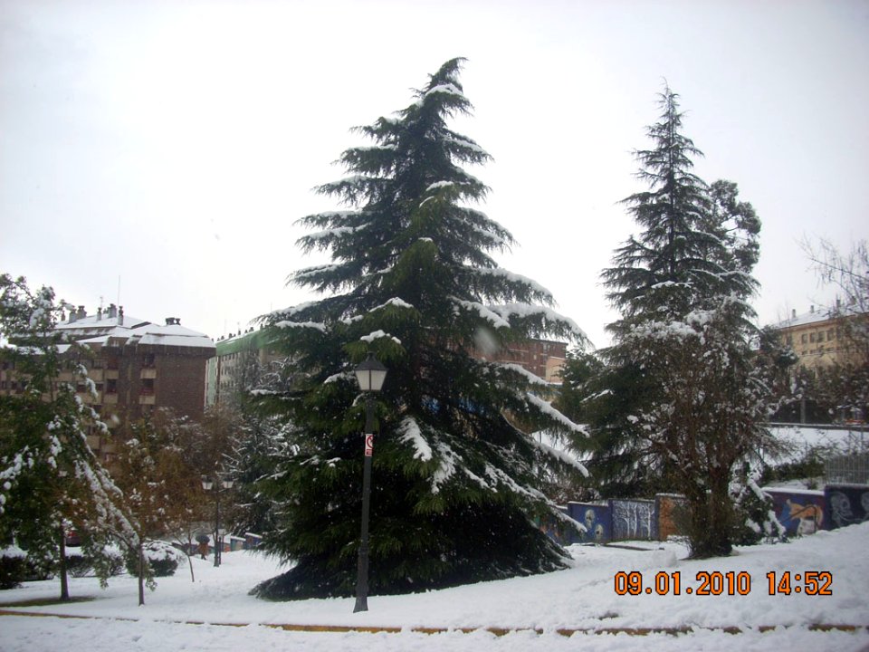 Nieve (4682365472)