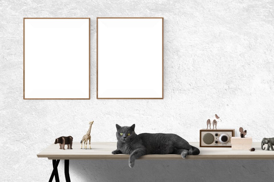 Frame template interior